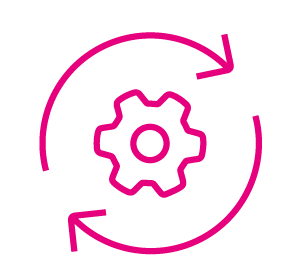 Process Implementation Services